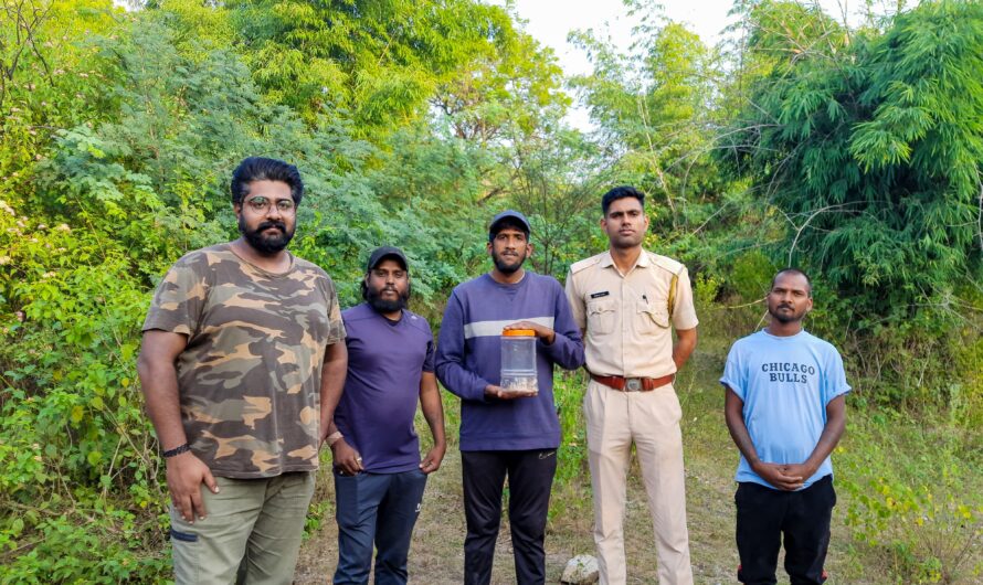 उदयपुर में दिखा दुर्लभ प्रजाति का ब्लैक हेडेड रॉयल स्नैक